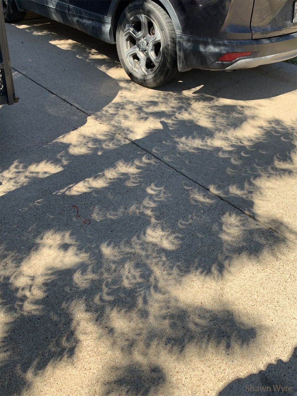 A driveway is shown with a car at the top of the frame
but a series of shadows across the rest of the frame. A 
close inspection of these shadows shows that they are frequently
small images of an ongoing partial solar eclipse.
Please see the explanation for more detailed information.