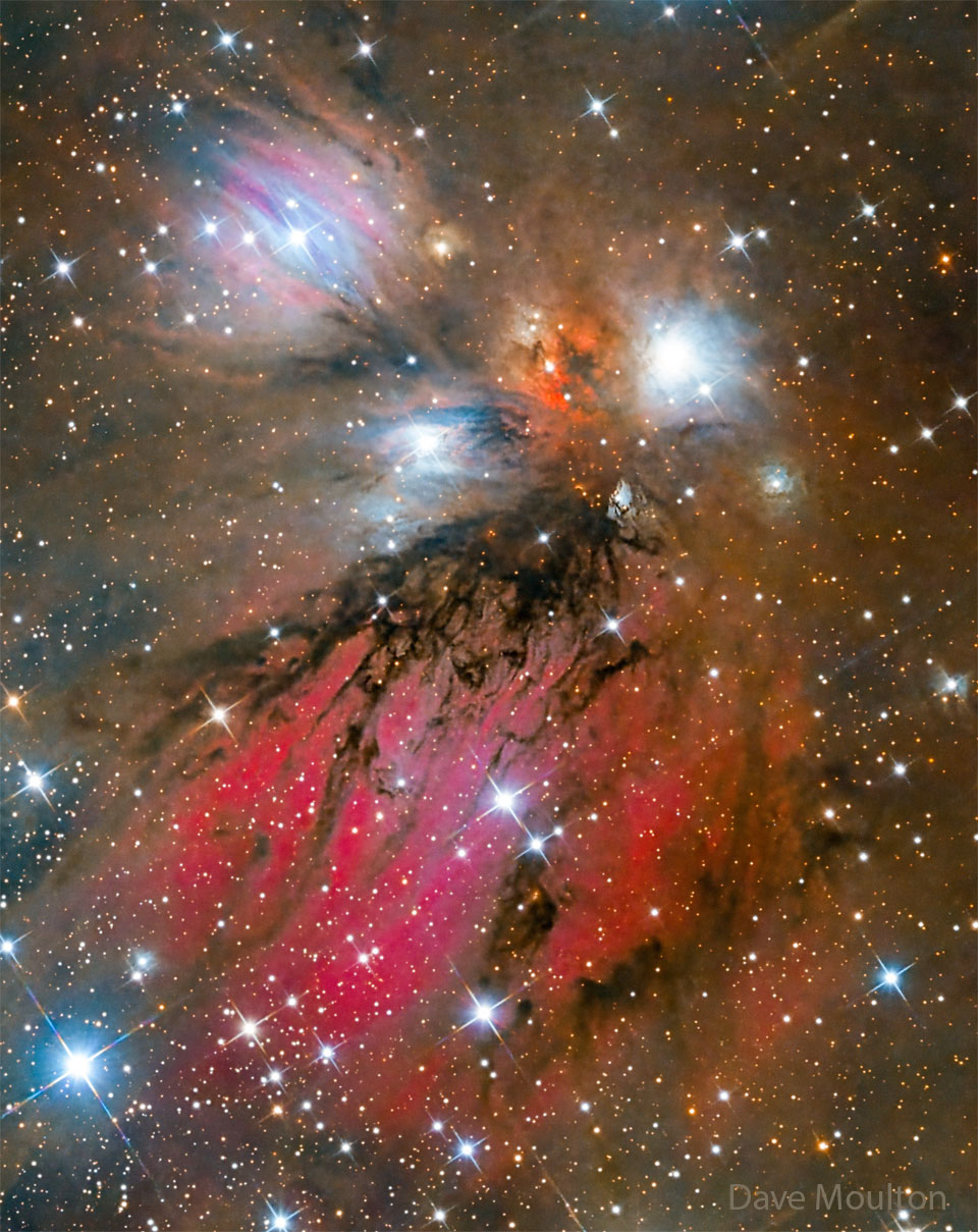 A complex jumble of colorful gas and dark dust
dominate a bright field of stars. 
Please see the explanation for more detailed information.